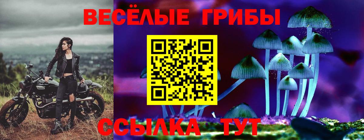 Семилуки  Псилоцибиновые грибы GOLDEN TEACHER  Вход с VPN  Галлюциногенные грибы Magic Shrooms 